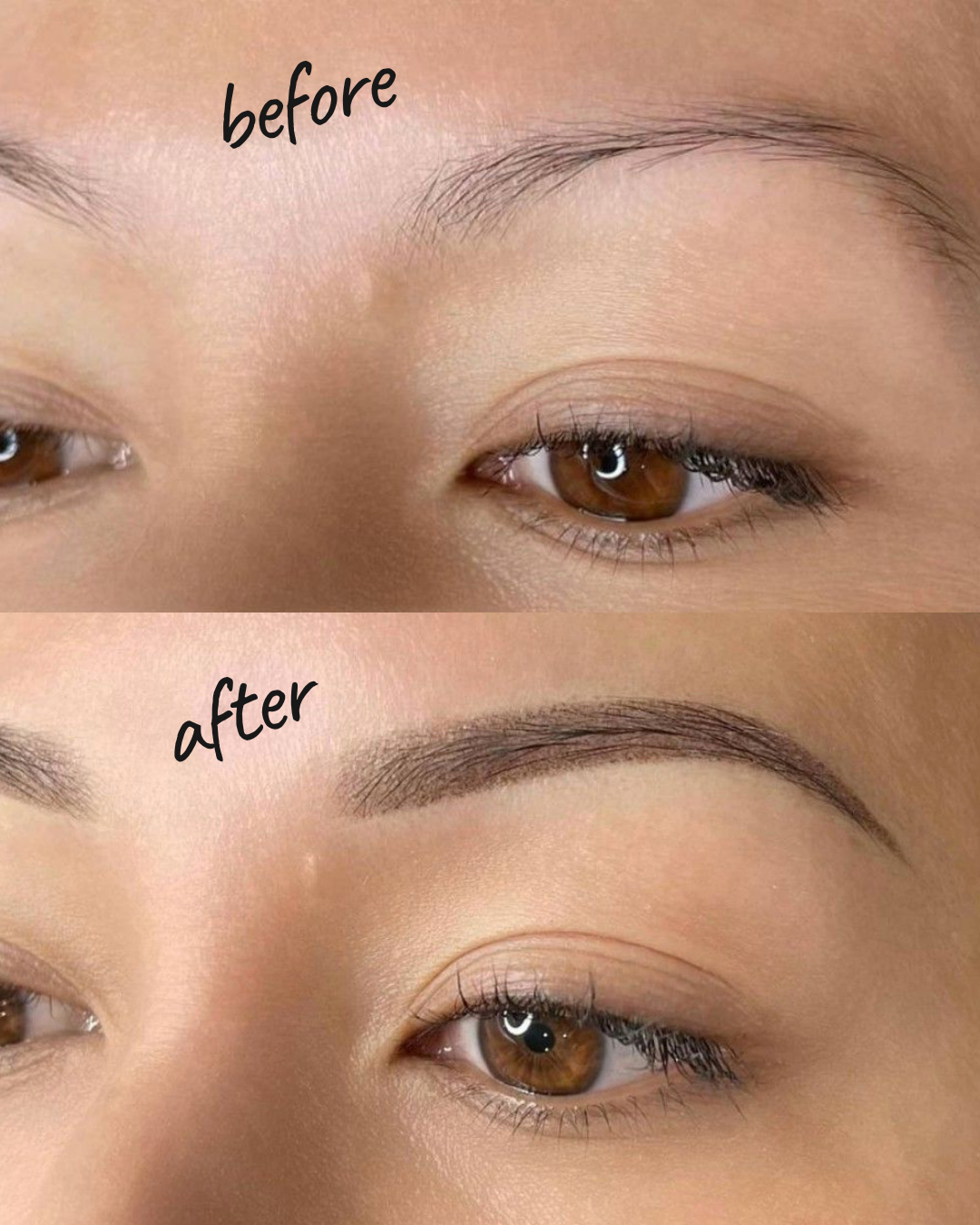 Eyebrows Powder Shading Ombre NYC — Before and After